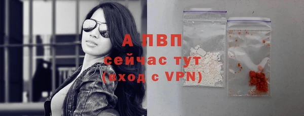 гашик Нефтекумск