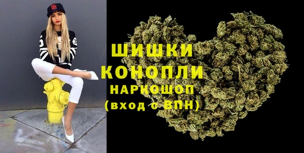 гашик Нефтекумск