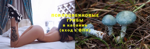 гашик Нефтекумск