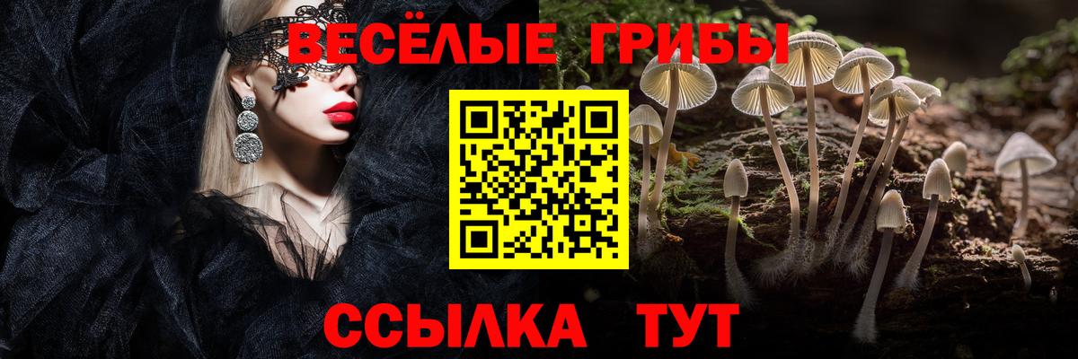 Псилоцибиновые грибы прущие грибы  Псилоцибиновые грибы Magic Shrooms  Кудымкар 